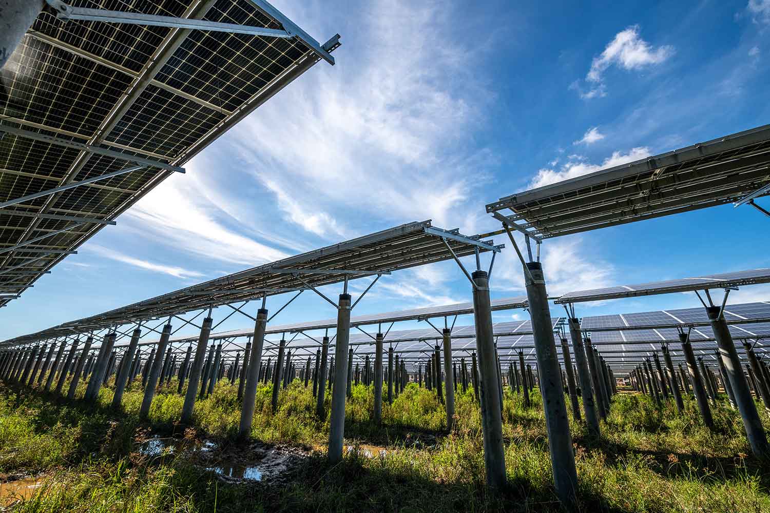 The Environmental Impact of Using Solar Energy