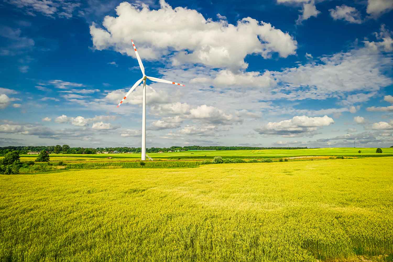 How Businesses Benefit from Switching to Solar Power