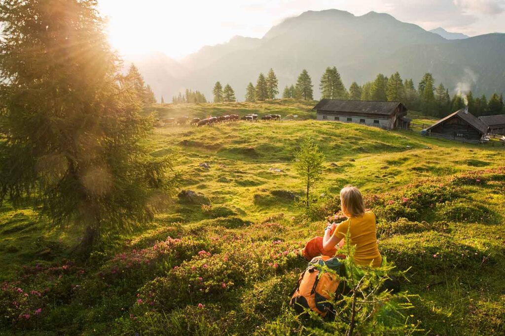 How Nature Cottages Inspire Sustainable Living Practices