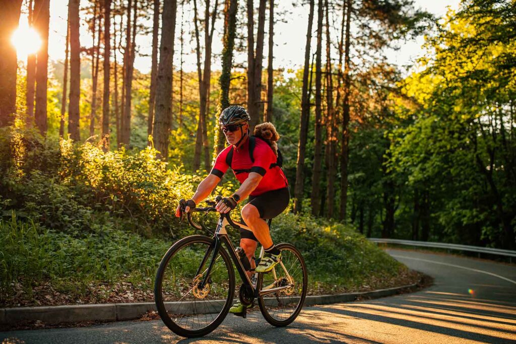 Experience Luxury and Serenity in Nature Cottages
