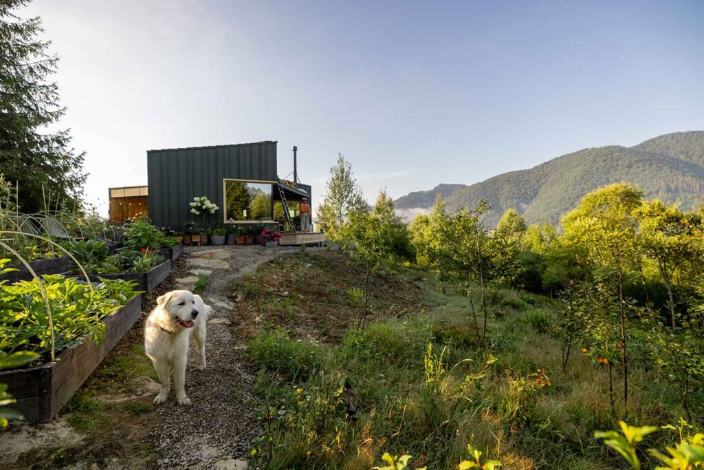 Planning Your Dream Holiday in Nature Cottages