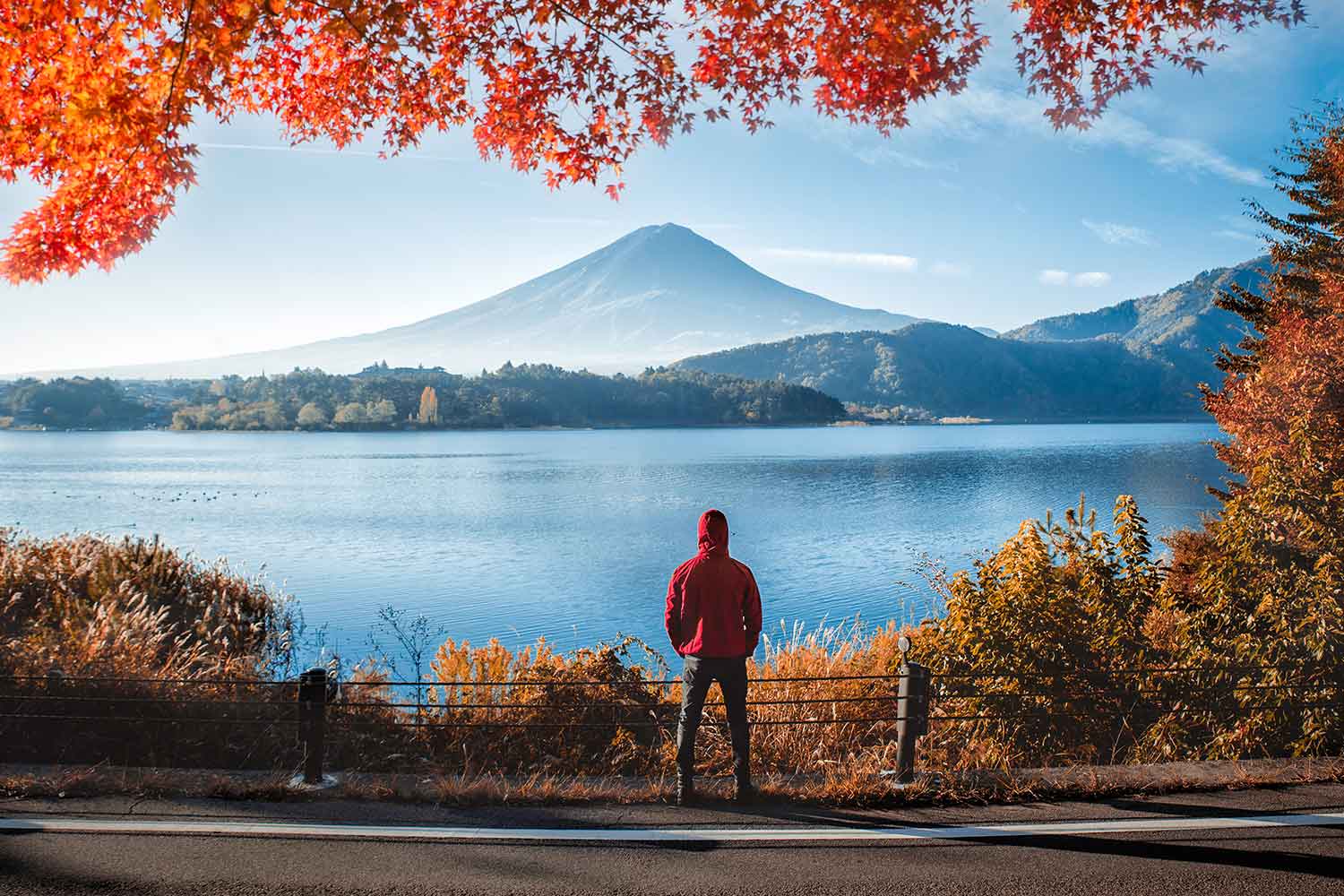 Best Hiking Trails Near Mount Fuji
